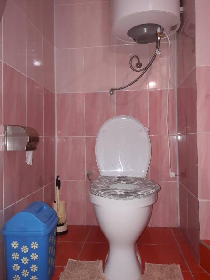 Kyzart Guesthouse Bagysh Extérieur photo